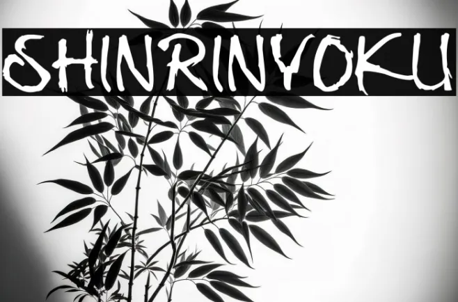 Shinrinyoku Example 1