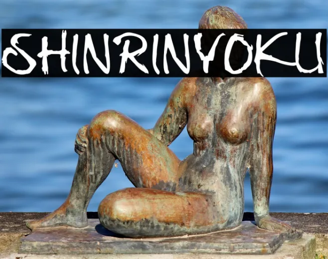 Shinrinyoku Example 2