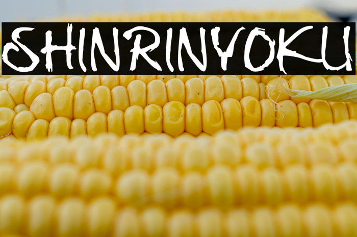 Shinrinyoku Example 3