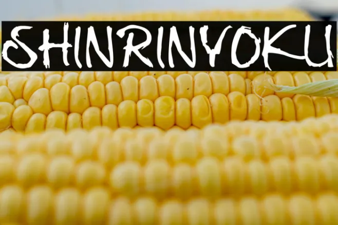 Shinrinyoku Example 3