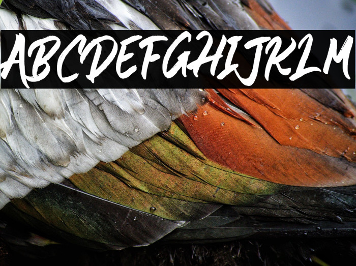 Shintaku Demo Example 1