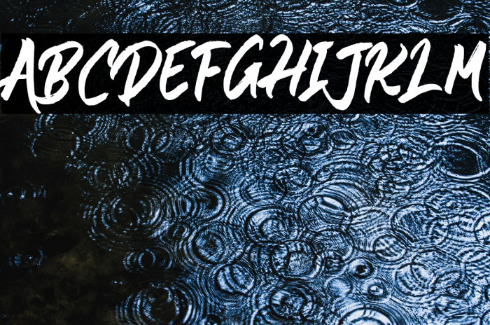 Shintaku Demo Example 2