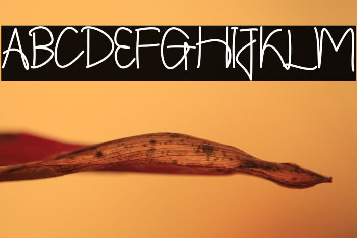 Shintelline Example 2