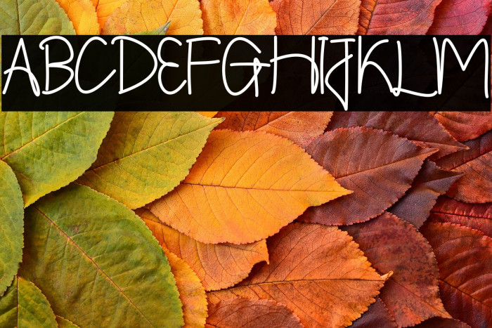 Shintelline Example 1