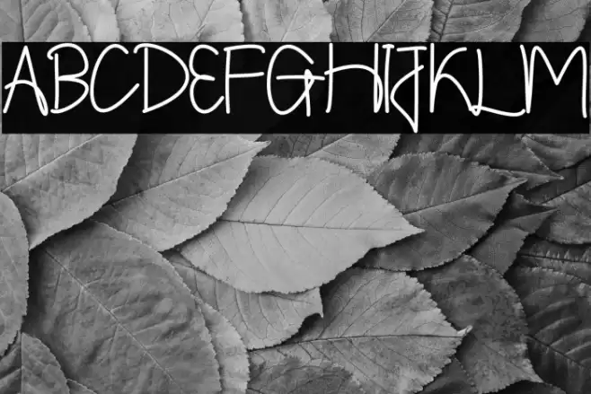 Shintelline Font examples