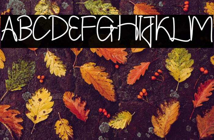 Shintelline Example 2