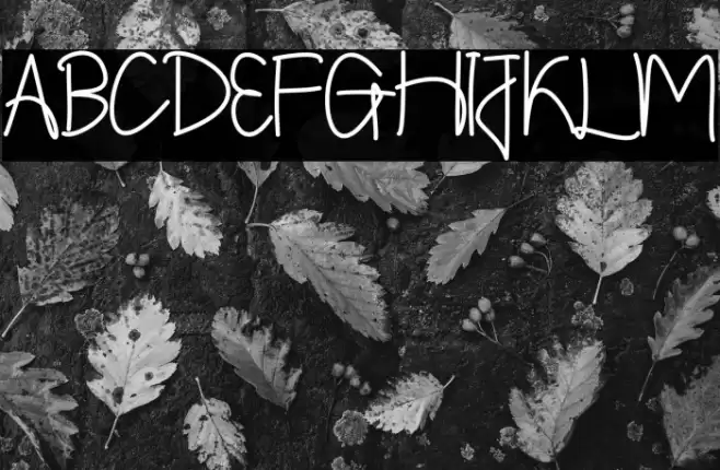 Shintelline Font examples