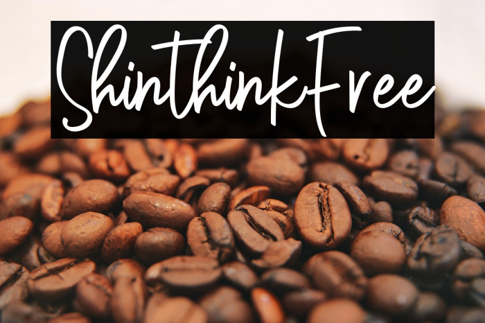 ShinthinkFree Example 1