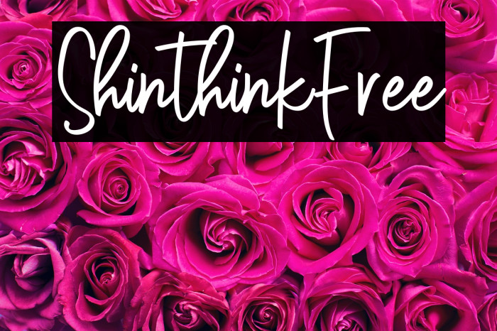 ShinthinkFree Example 2