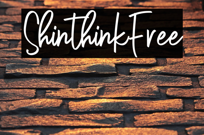 ShinthinkFree Example 3