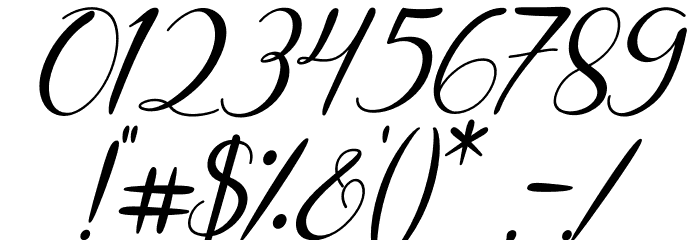 Shintia Italic Italic Font OTHER CHARS