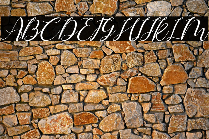 Shintia Italic Italic Example 1