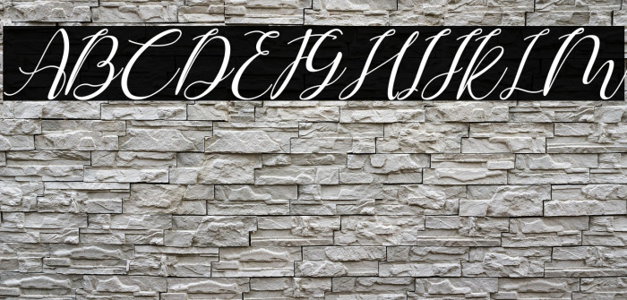 Shintia Italic Italic Example 3