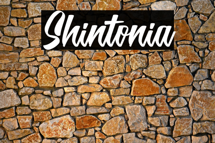 Shintonia Example 1