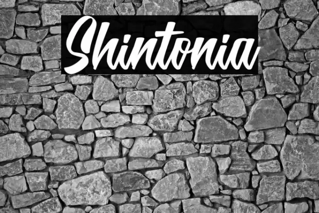 Shintonia Font examples