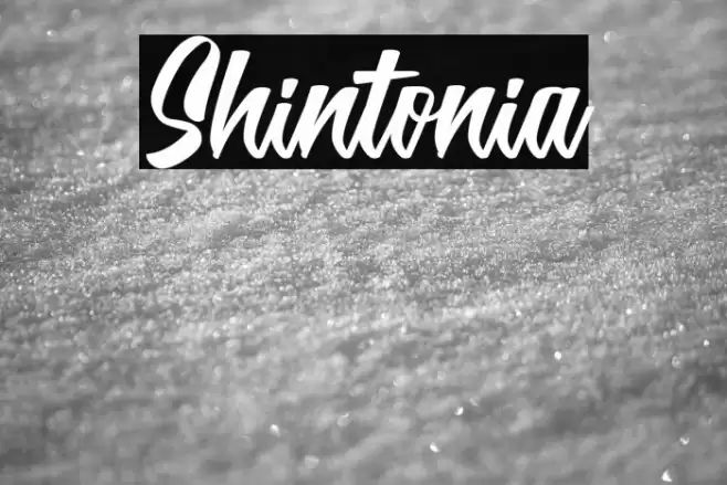 Shintonia Font examples