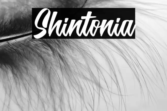 Shintonia Font examples