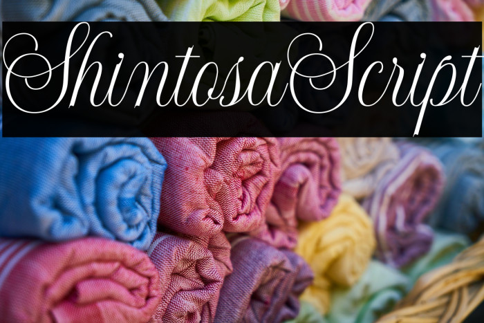 ShintosaScript Example 1