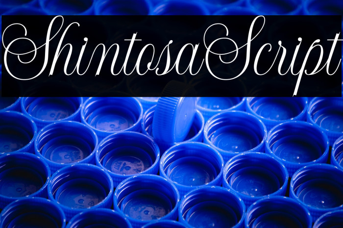 ShintosaScript Example 2