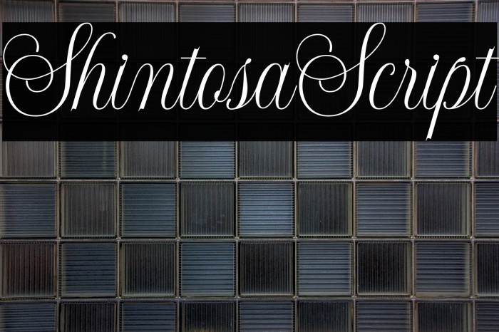 ShintosaScript Example 3