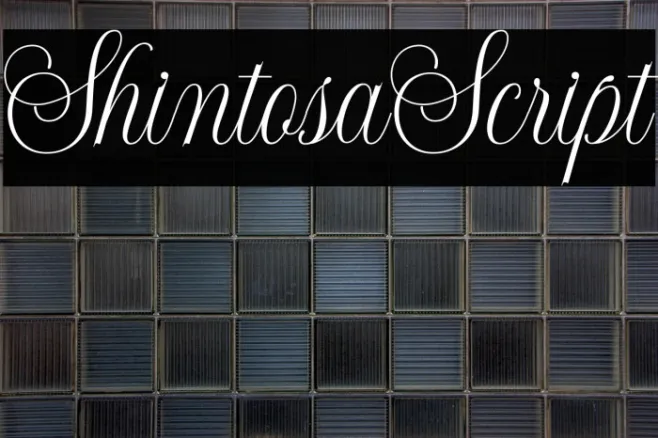 ShintosaScript Example 3