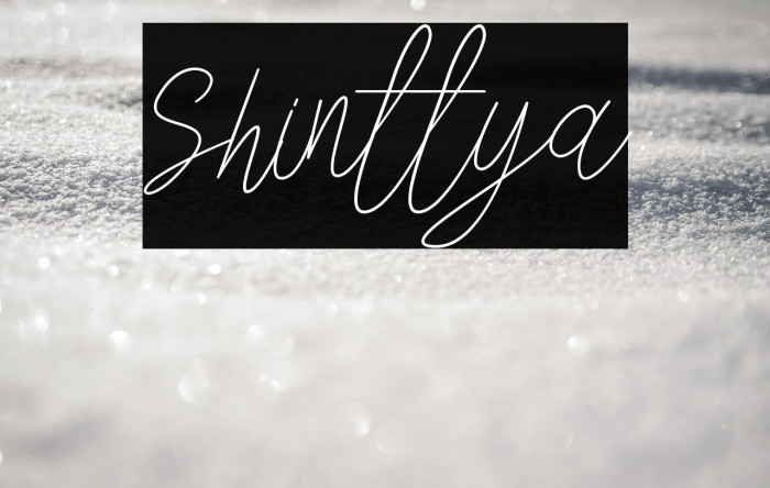 Shinttya Example 2