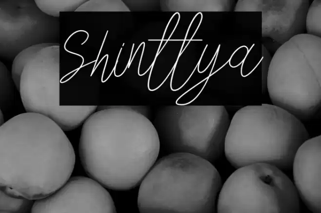 Shinttya Font examples