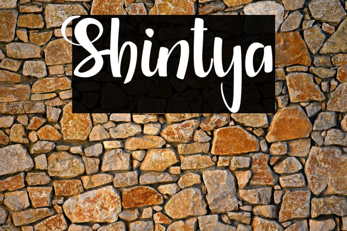 Shintya Example 1