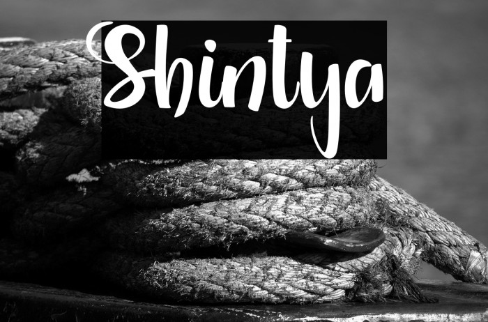 Shintya Example 2