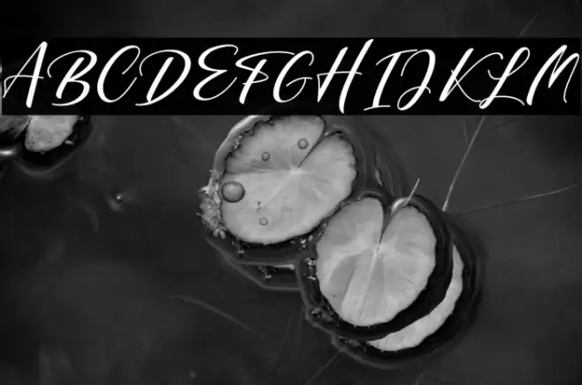 Shintyan Font examples