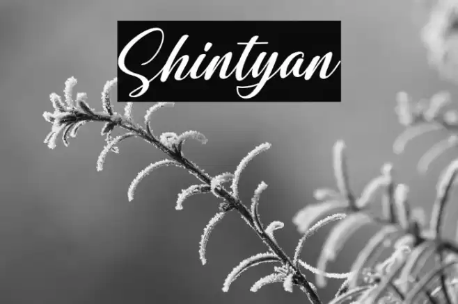 Shintyan Font examples