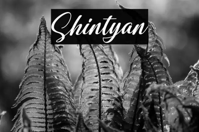 Shintyan Font examples