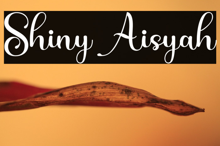 Shiny Aisyah Example 2