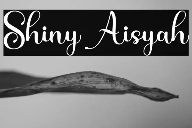 Shiny Aisyah Font examples