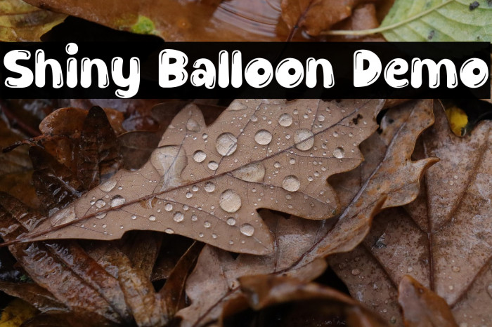 Shiny Balloon Demo Example 2