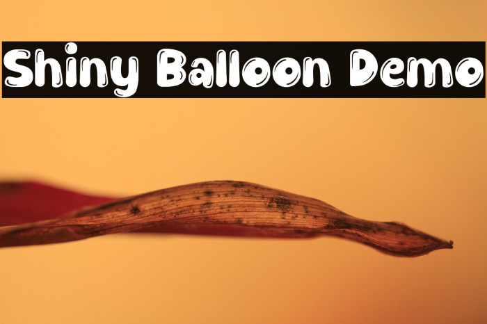 Shiny Balloon Demo Example 3