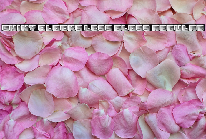 Shiny Blocks Less Gloss Regular Example 1