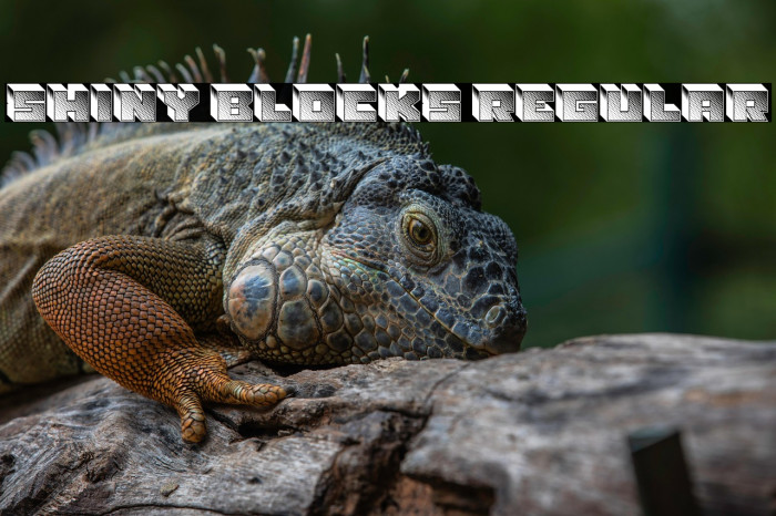 Shiny Blocks Regular Example 1