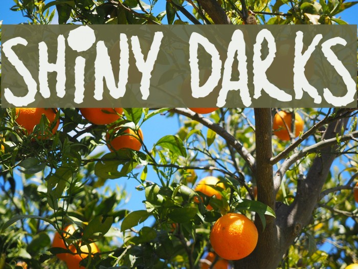 Shiny Darks Font examples