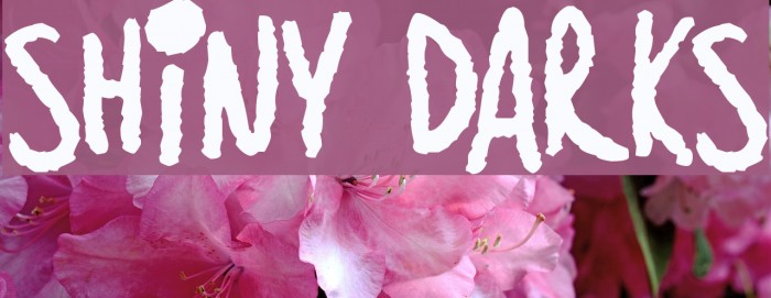 Shiny Darks Font examples