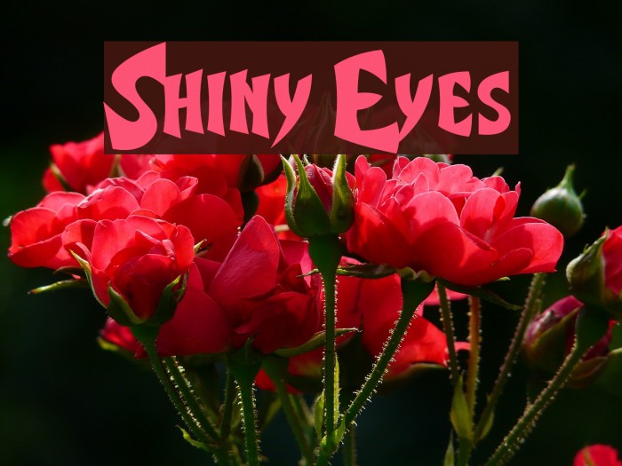Shiny Eyes Font examples