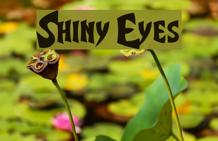 Shiny Eyes Font examples
