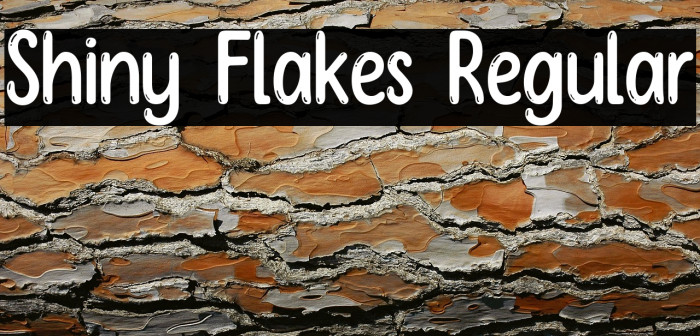 Shiny Flakes Regular Example 1