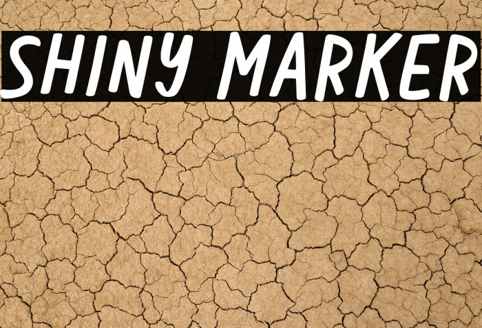 Shiny Marker Example 1