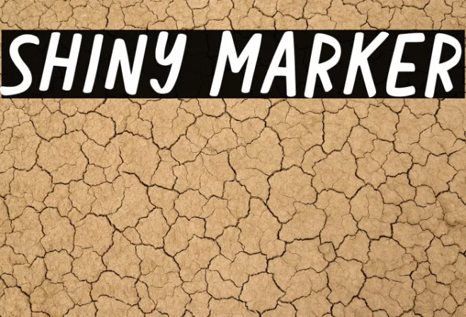 Shiny Marker Example 1