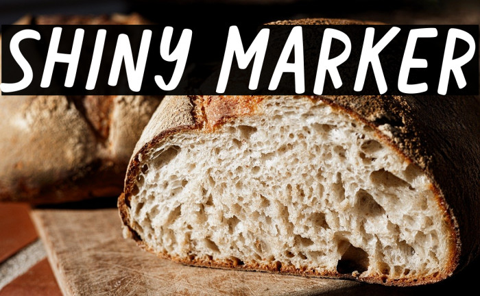 Shiny Marker Example 2