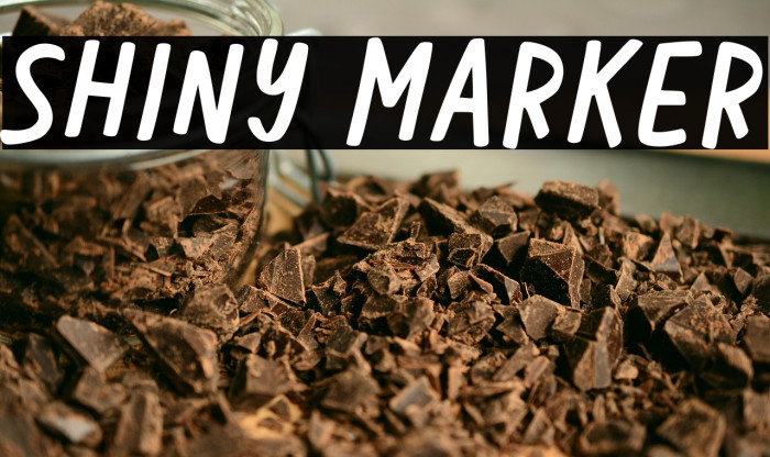 Shiny Marker Example 3