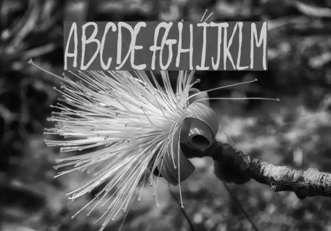 Shiny Pimple Font examples