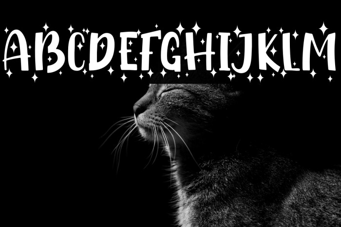 Shiny Unicorn Display - Personal Use Example 1