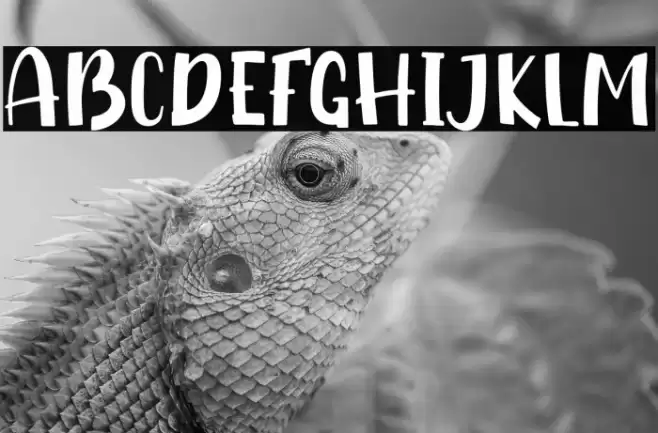 Shiny Unicorn - Personal Use Font examples